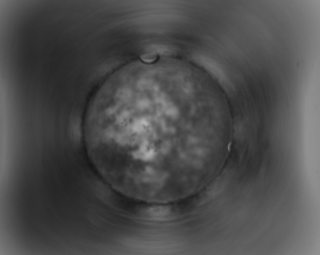 X0000093170353200710031508