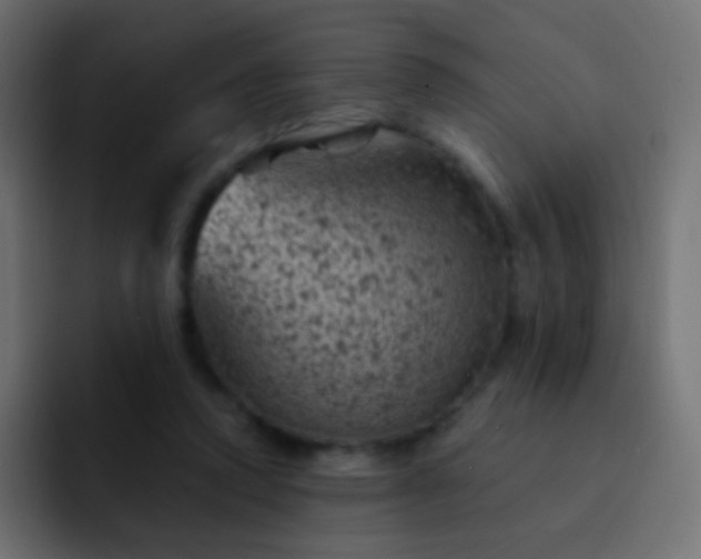 X0000093170354200710031508