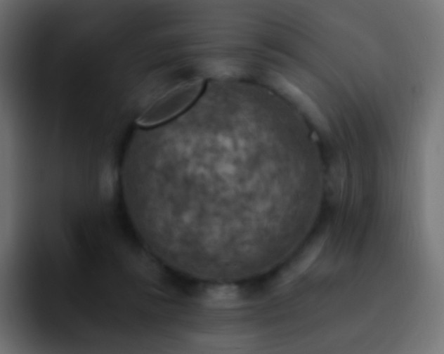 X0000093170355200710031508