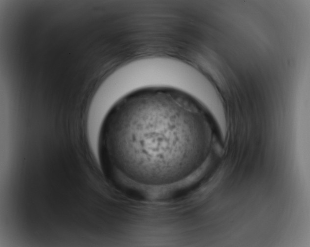 X0000093170356200710031508