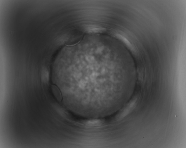 X0000093170357200710031508