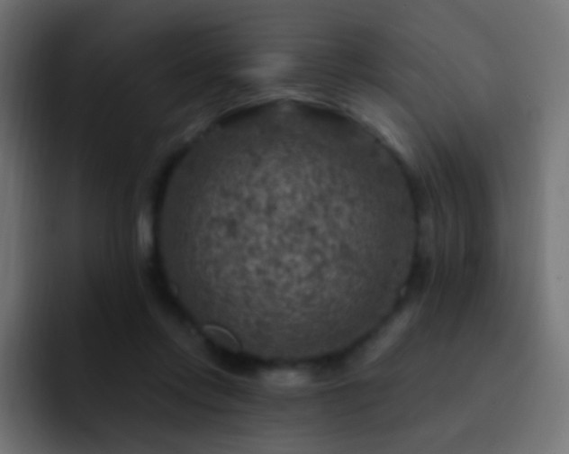 X0000093170358200710031508