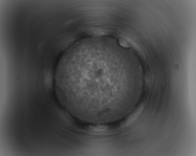 X0000093170359200710031508