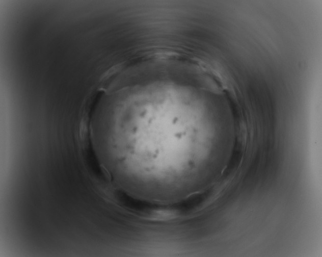 X0000093170360200710031508