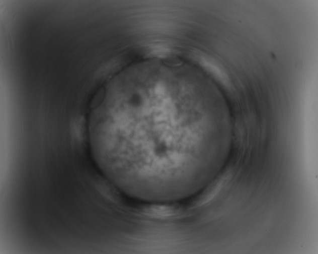 X0000093170361200710031508
