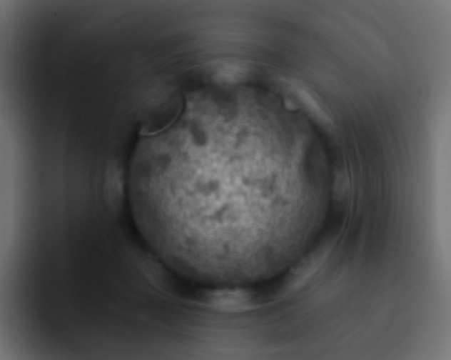 X0000093170363200710031508
