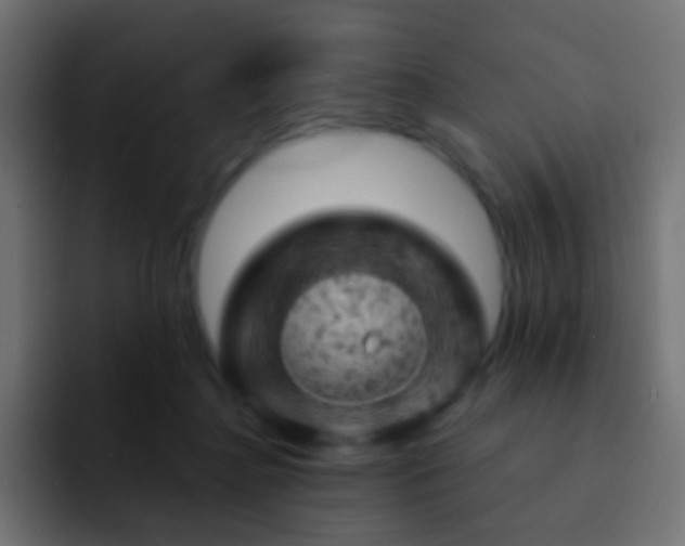 X0000093170364200710031508
