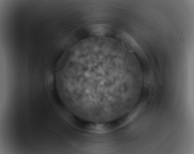 X0000093170365200710031508