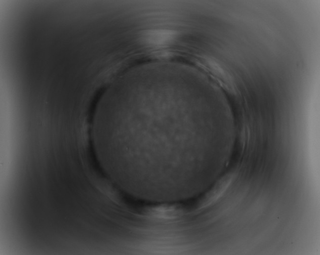 X0000093170366200710031508