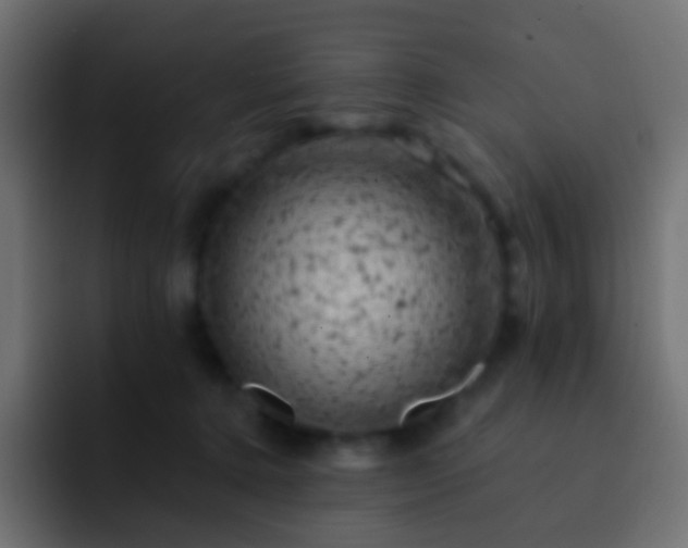 X0000093170368200710031508