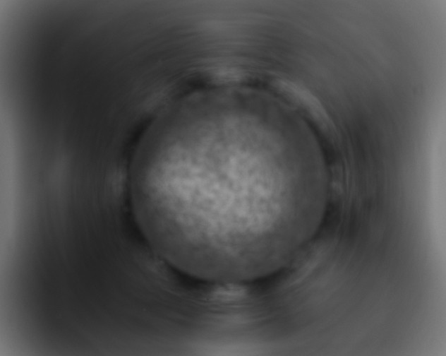 X0000093170369200710031508