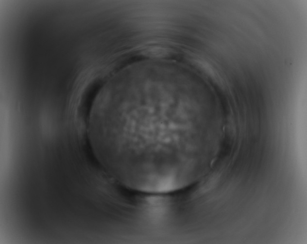 X0000093170371200710031508