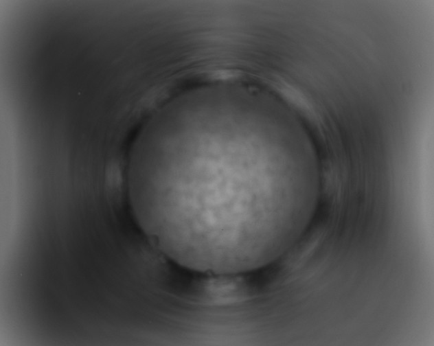 X0000093170373200710031508