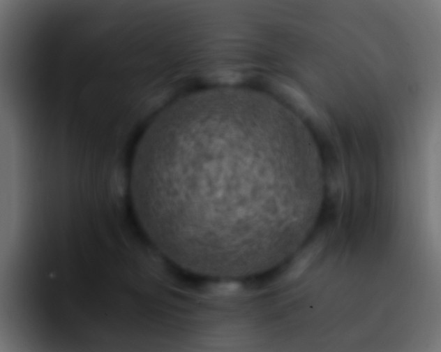 X0000093170374200710031508