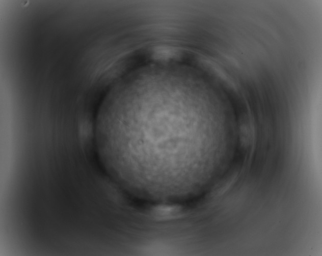 X0000093170375200710031508