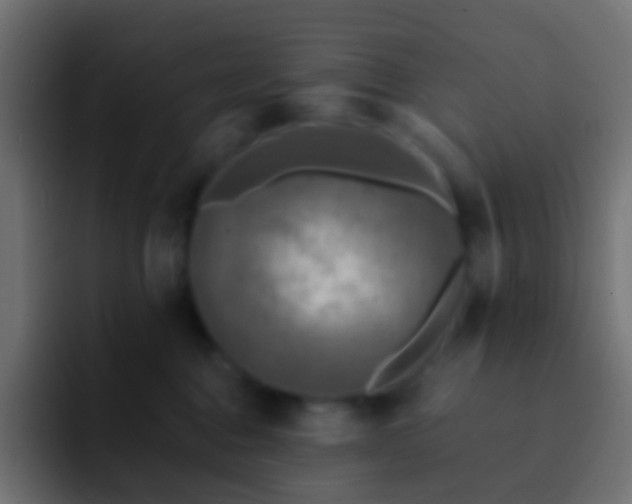 X0000093170376200710031508