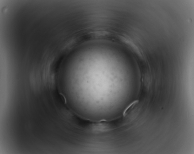 X0000093170378200710031508