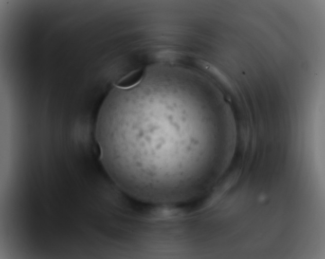 X0000093170379200710031508