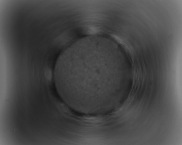 X0000093170380200710031508