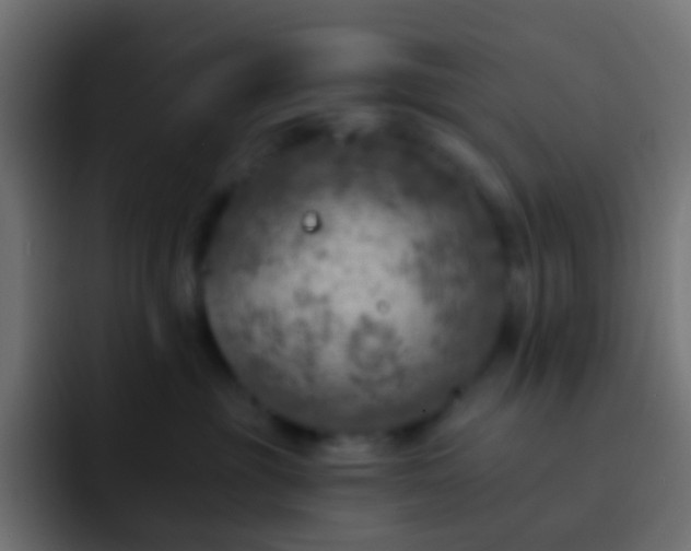 X0000093170381200710031508
