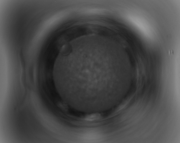 X0000093170382200710031508