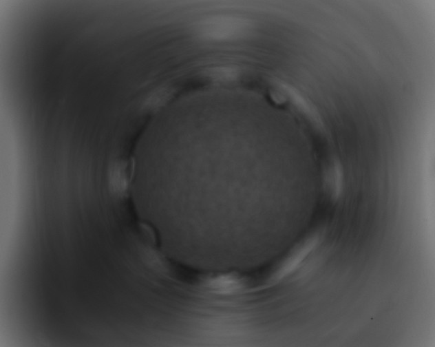 X0000093170383200710031508