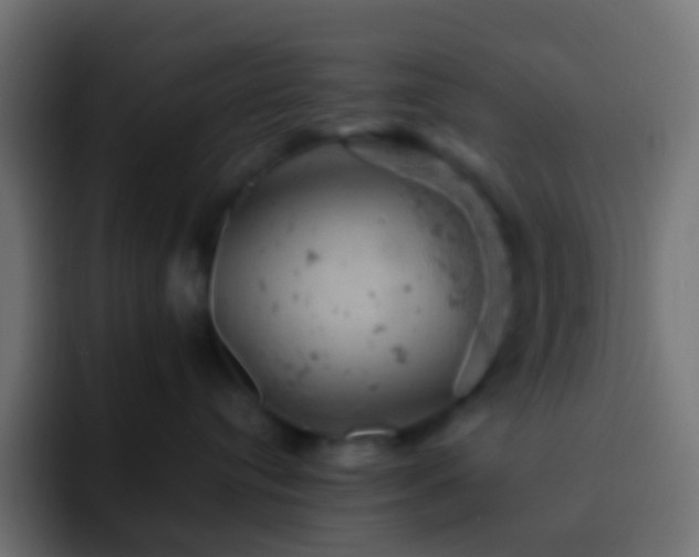 X0000093170384200710031508