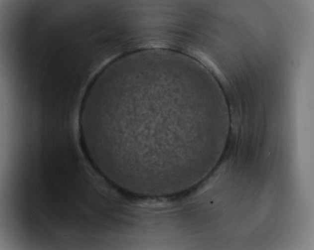 X0000093170386200710031507