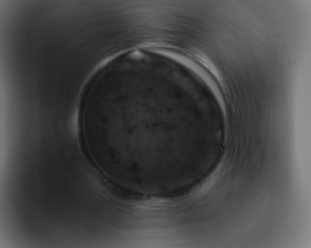 X0000093170387200710031507
