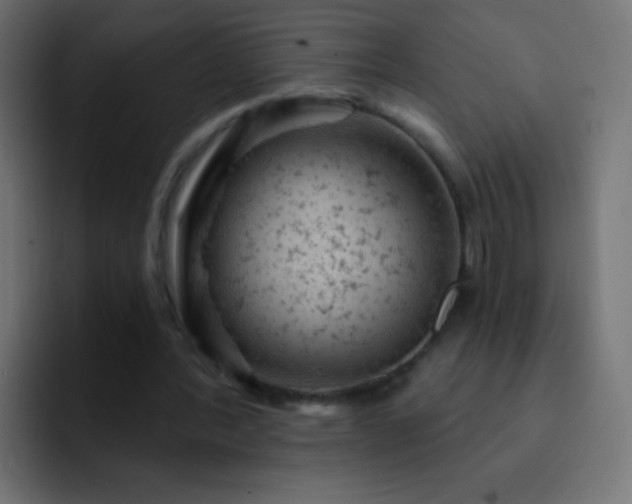 X0000093170388200710031507