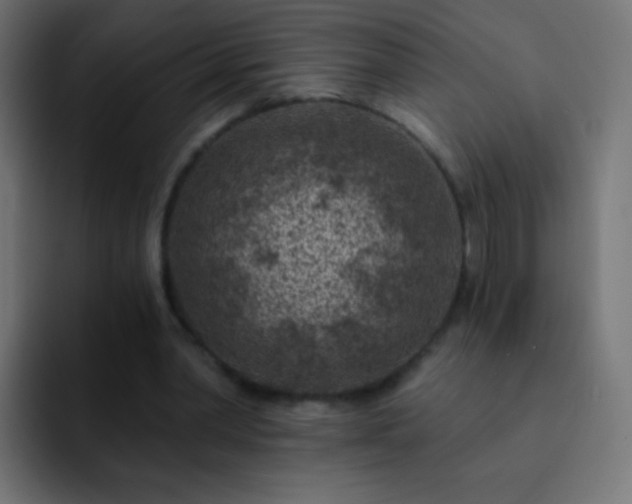 X0000093170390200710031507