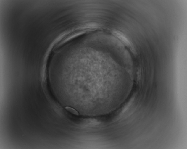 X0000093170392200710031507