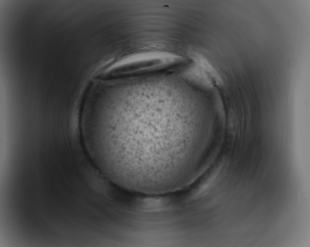 X0000093170394200710031507