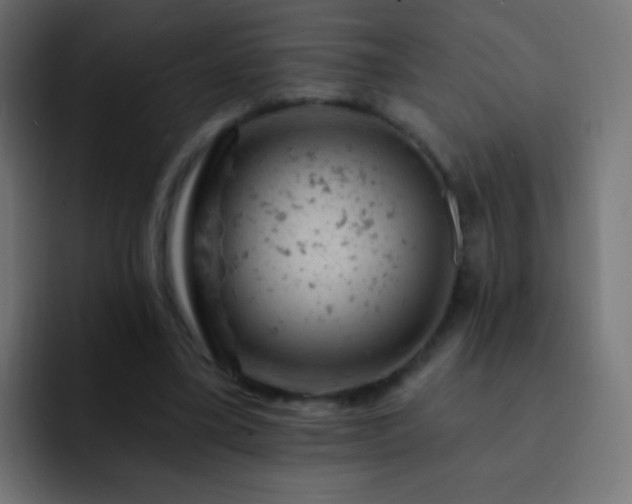 X0000093170395200710031507