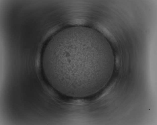 X0000093170396200710031507