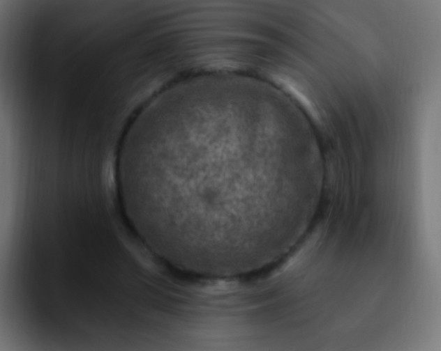 X0000093170398200710031507