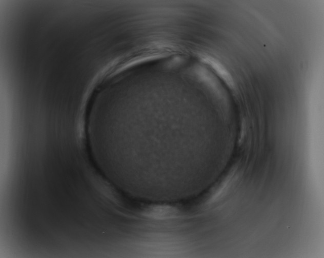 X0000093170399200710031507