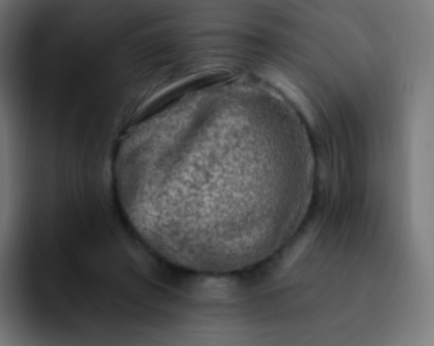 X0000093170401200710031507