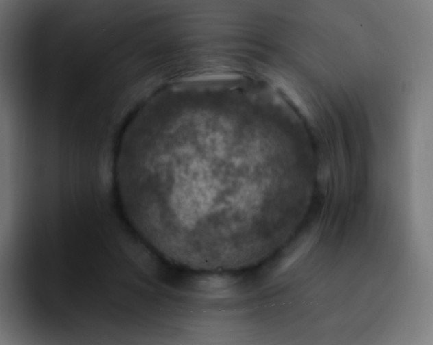 X0000093170402200710031507