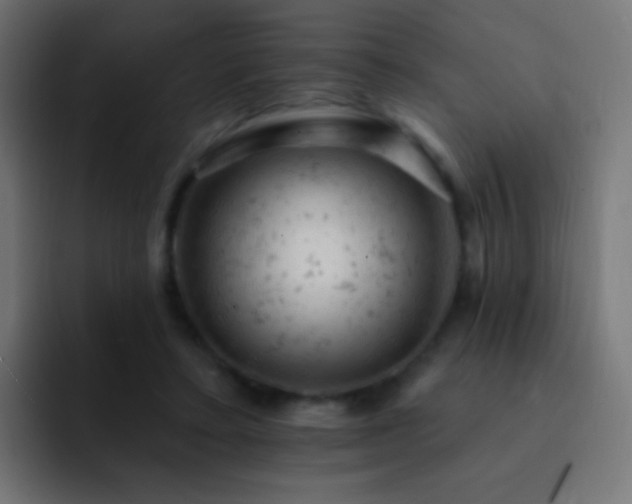 X0000093170403200710031507