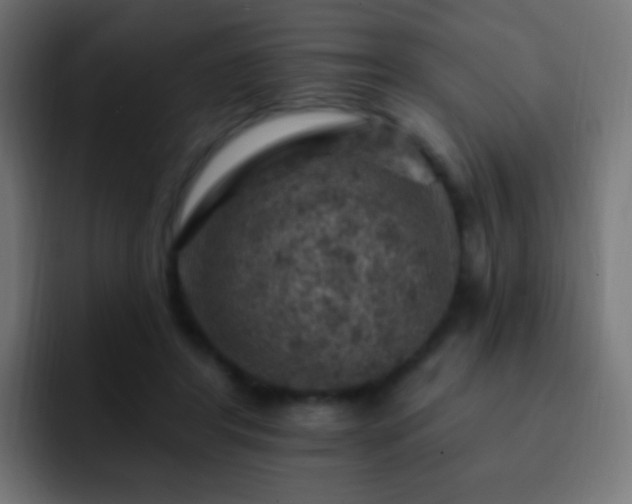 X0000093170404200710031507