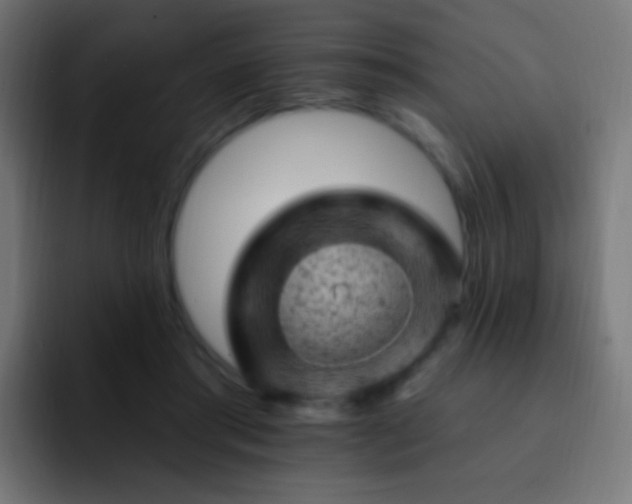 X0000093170405200710031507