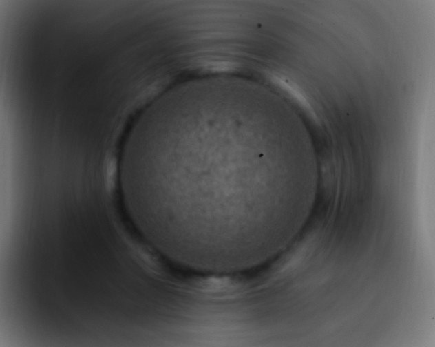 X0000093170406200710031507