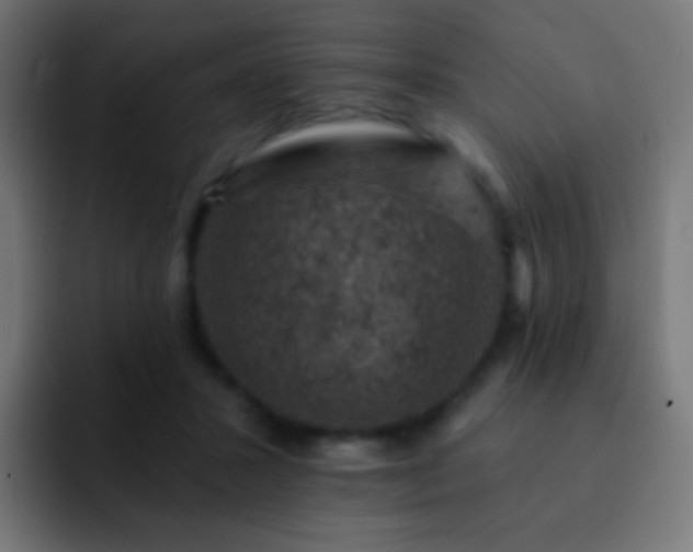 X0000093170407200710031507