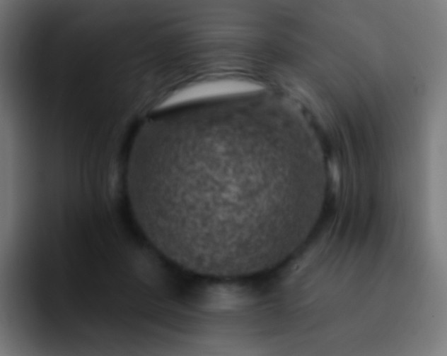 X0000093170408200710031507