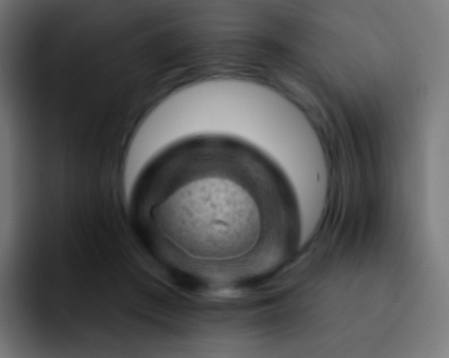 X0000093170409200710031507