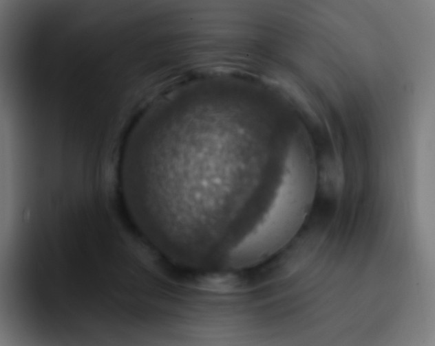 X0000093170410200710031507
