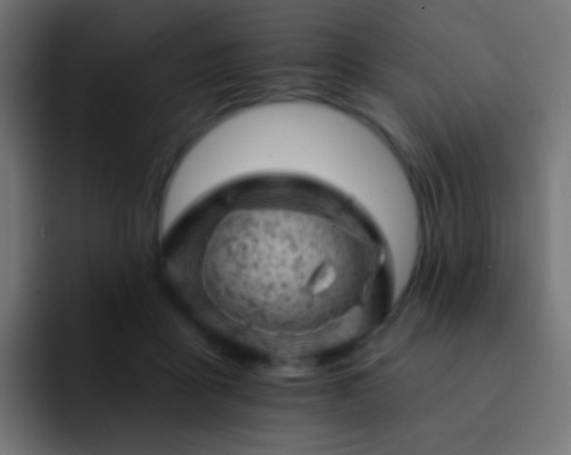 X0000093170411200710031507