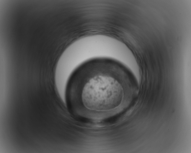 X0000093170412200710031507