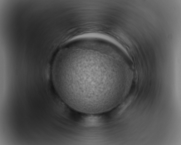 X0000093170413200710031507